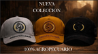 Mastershop Product Image